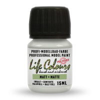 Life Colours FS 36495 Light Gray matt