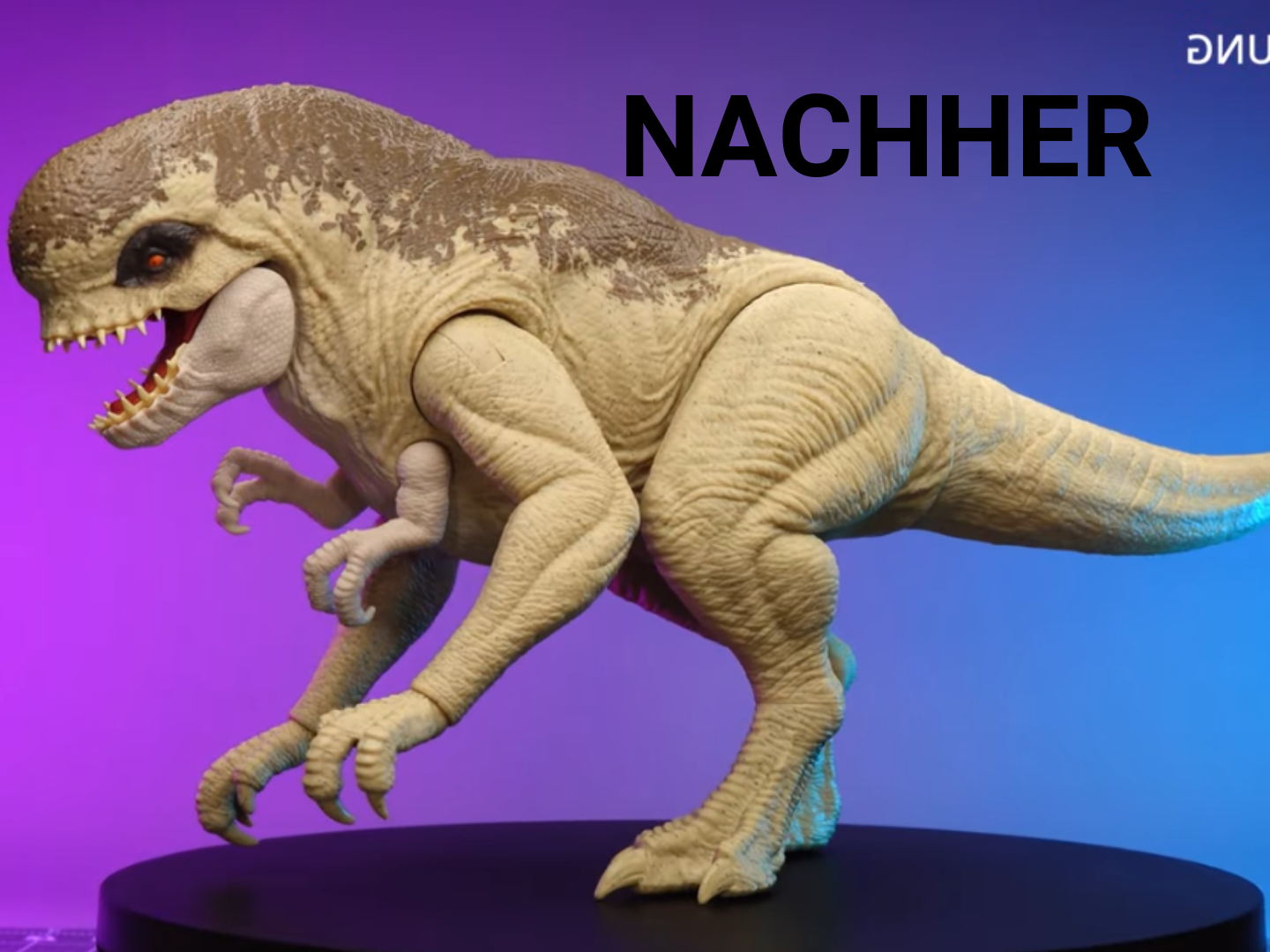 D-Rex Nachher